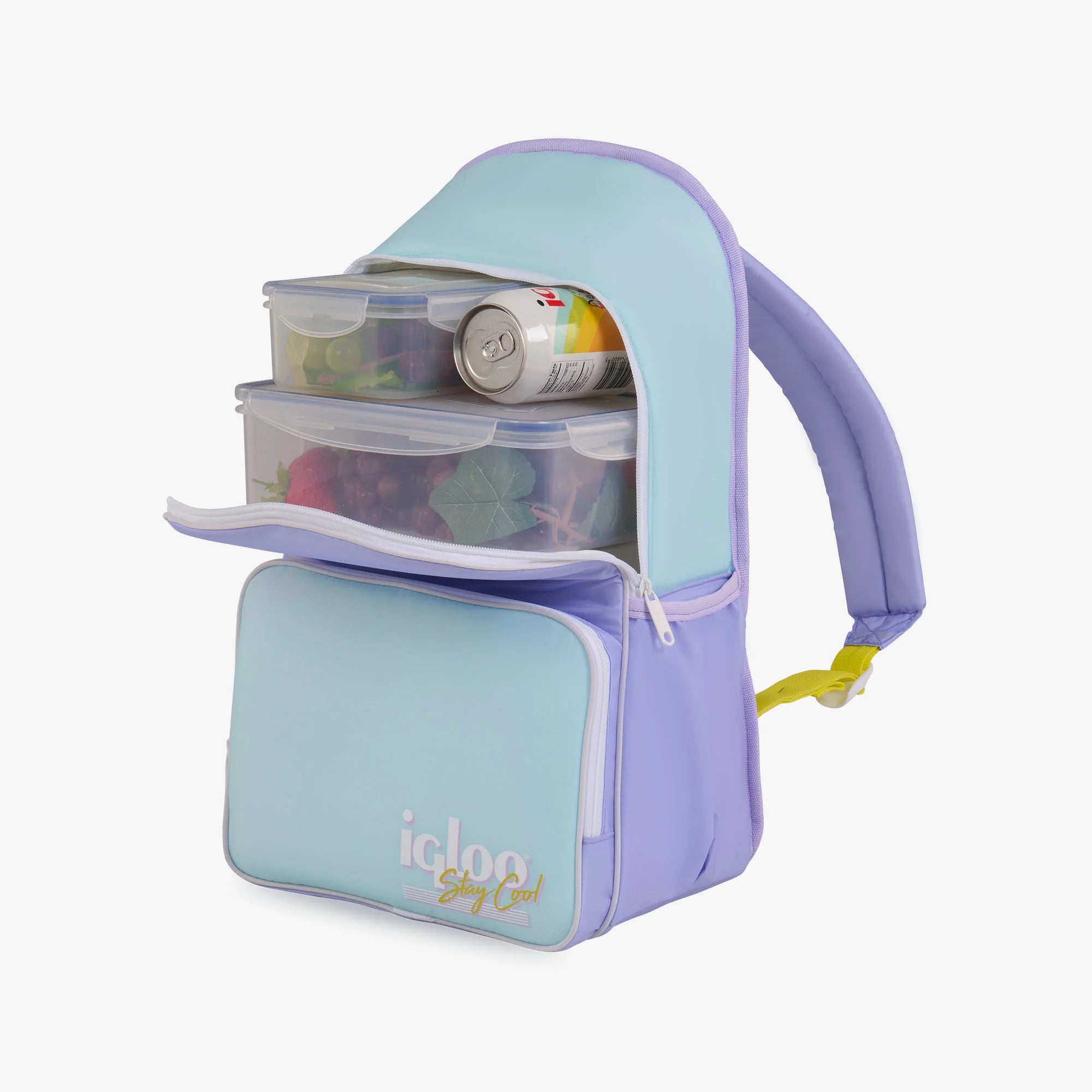 Igloo Camping Cooler Retro Backpack Cooler - Image 25