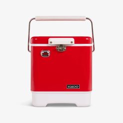 Igloo Camping Cooler Legacy 20 Qt Cooler